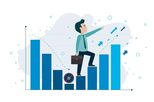 Revenue Litigation support